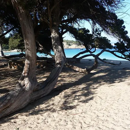 Yebisah Konukevi Santa Eularia des Riu