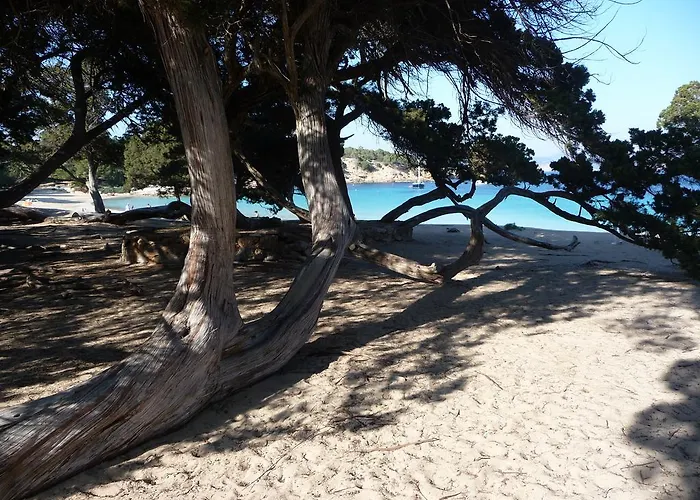 Yebisah Penzion Santa Eularia des Riu