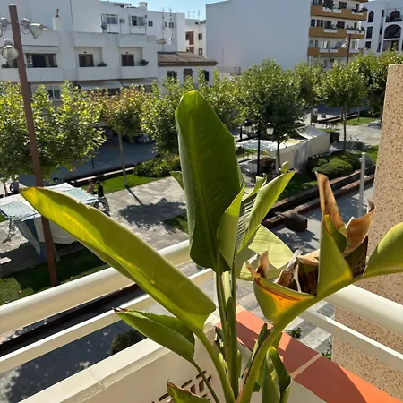 Casa de hóspedes Yebisah 2*